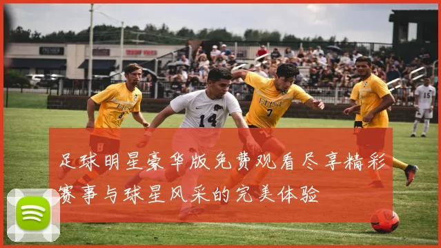 足球明星豪华版免费观看尽享精彩赛事与球星风采的完美体验