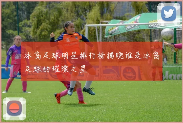 冰岛足球明星排行榜揭晓谁是冰岛足球的璀璨之星