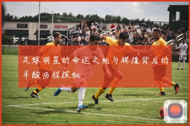 足球明星的命运之轮与辉煌背后的辛酸历程探秘