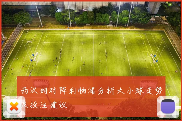 西汉姆对阵利物浦分析大小球走势及投注建议