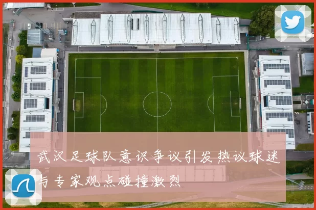 武汉足球队意识争议引发热议球迷与专家观点碰撞激烈