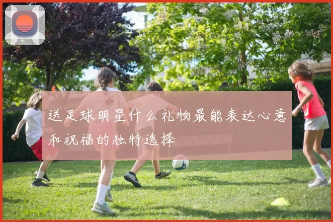 送足球明星什么礼物最能表达心意和祝福的独特选择