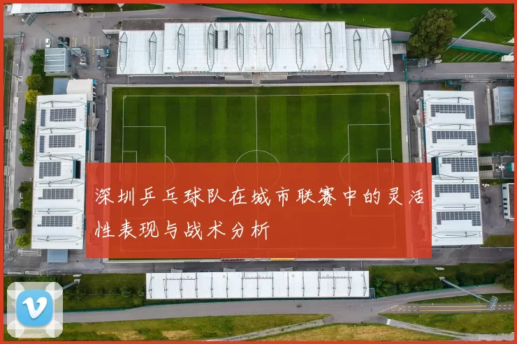 深圳乒乓球队在城市联赛中的灵活性表现与战术分析