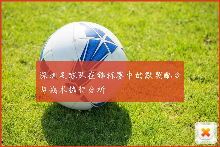 深圳足球队在锦标赛中的默契配合与战术执行分析